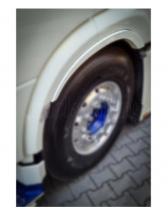 Extensão Para-lamas Fibra DAF XF 106