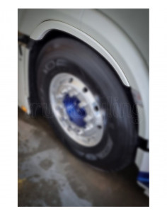 Extensão Para-lamas Fibra DAF XF 106 2