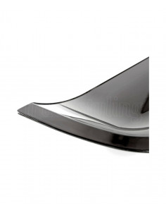 Par de Chuventos DAF XF 106 2